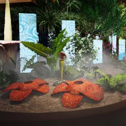 Photo of Plants from Around the World Come Together as One Forest