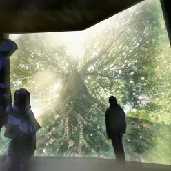 Photo of Step into a Giant Book of Stories Between Plants and People